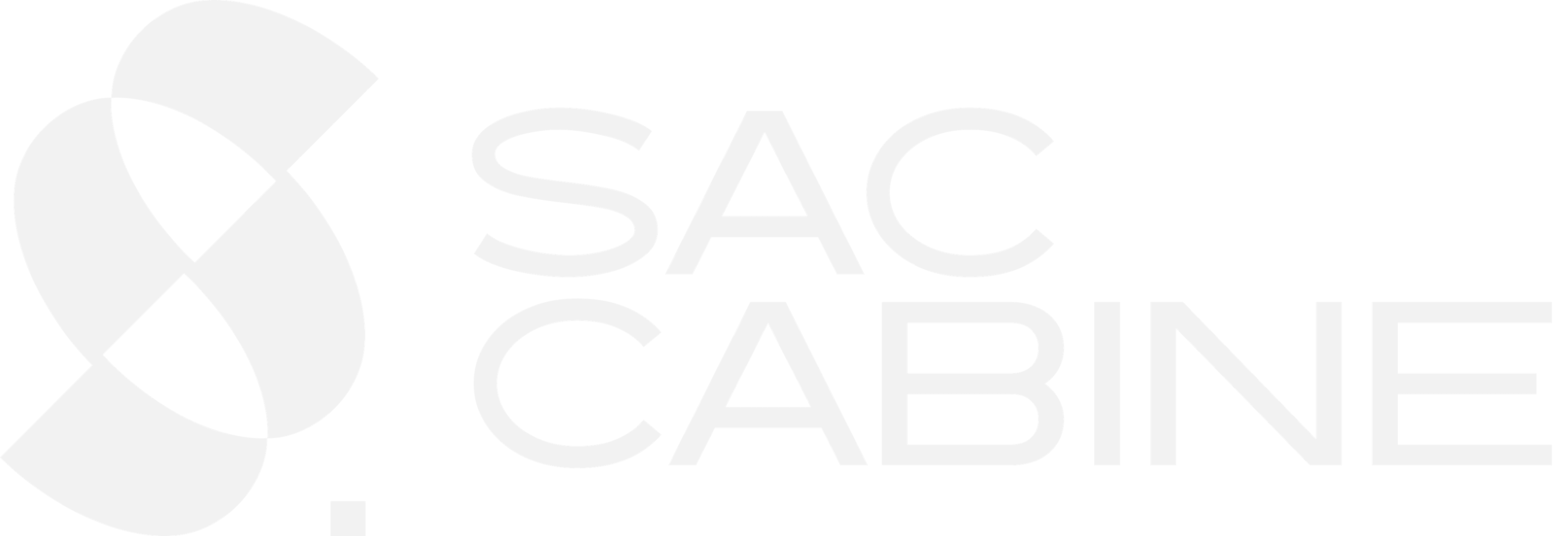 Sac Cabine